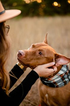 a woman is petting a brown dog in a field