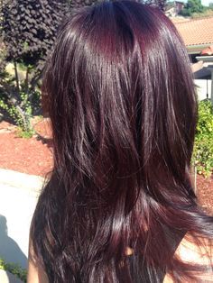 Merlot Hair, Hair Color With Highlights, Deep Burgundy Hair, Merlot Hair Color, Color With Highlights, Black Cherry Hair, Balayage Brown