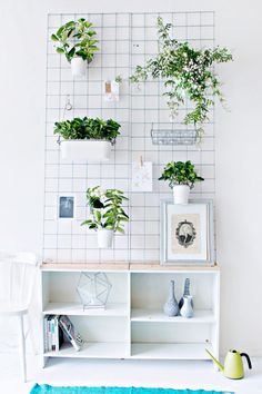 a white shelf with plants on it in front of a wall mounted planter and potted plants