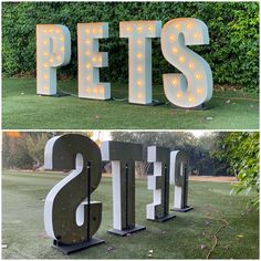 the letters are made out of wood and have lights on them to spell pets in different languages