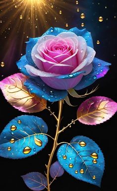 a pink rose with blue leaves and water droplets