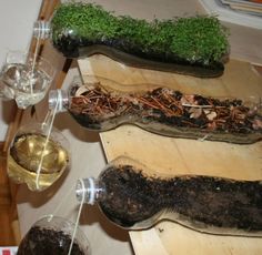 three wine glasses are sitting on a table with food and plants in the vases