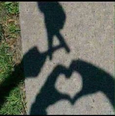 the shadow of two people holding hands