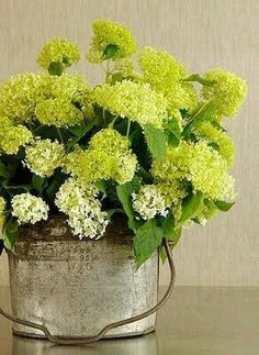 a bucket filled with green flowers sitting on top of a table