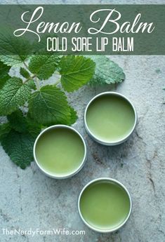 Cold Sore Lip, Lip Balm Recipe, Diy Lip Balm Recipes, Balm Recipe, Time To Heal, Salve Recipes, Cold Sores, Lip Balm Recipes, Homemade Lip Balm