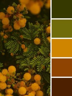 the color palette is brown, green and yellow with lots of berries on top of it