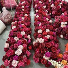 several rows of flowers laid out on the floor