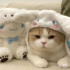 an orange and white cat sitting on top of a couch next to a stuffed animal