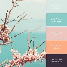 the color scheme is peach, teal, and blue with some pink flowers on it