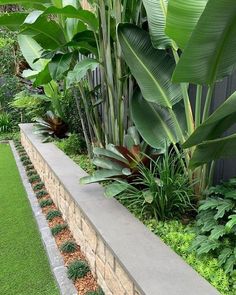 an outdoor garden with lots of plants and greenery on the side of the building