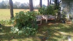 there is a bench made out of wood and plants in the back yard with trees around it