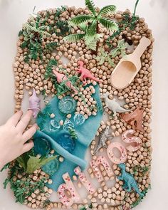 a child's hand reaching for toys in front of a display of plants and rocks