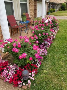 pink and red flowers line the side of a house