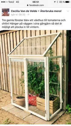 an image of a small greenhouse with plants inside