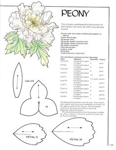 the peony flower is cut out and ready to be made into a paper doll