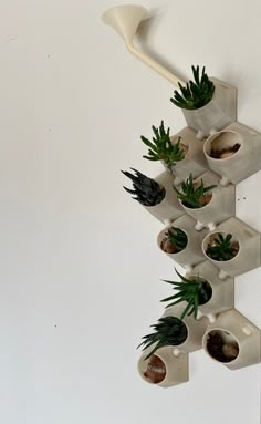 there are many succulents in the pots on this wall hanging from hooks