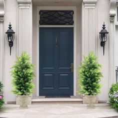 a blue front door with two planters on either side