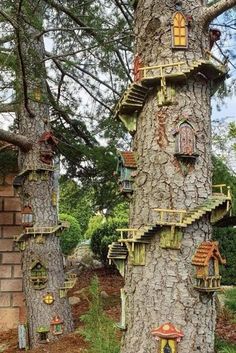 a tree house built into the side of a tree