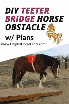 a brown horse wearing a red harness standing on top of a wooden platform with the words diy teeter bridge horse obstacle w / plans