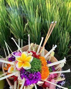 a person holding a bouquet of flowers in their hand with sticks sticking out of it