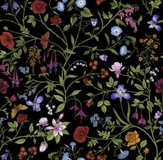 a black background with colorful flowers and leaves on it's sides, all in different colors