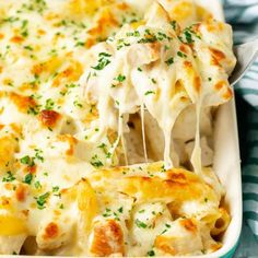 chicken alfredo bake in a blue casserole dish with a serving spoon scooping out