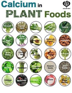 Calcium in plant foods Calcium Rich Fruits, Calcium Rich Foods, Energy Supplements, Menstrual Health, Food Info, Food Facts, Tempeh, Whole Foods, Plant Food