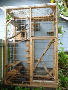 a bird cage that is outside in the grass and some plants on the side of a house