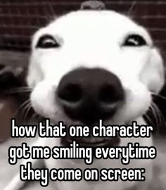 a dog with its mouth open and the words how that one character got me smiling every time they come on screen