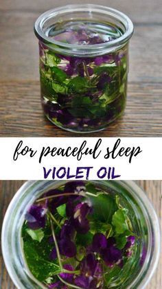 Violet Oil, Medicinal Herbs Garden, Diy Kosmetik, Herbal Tinctures, Herbal Recipes, Hair Massage, Herbal Apothecary