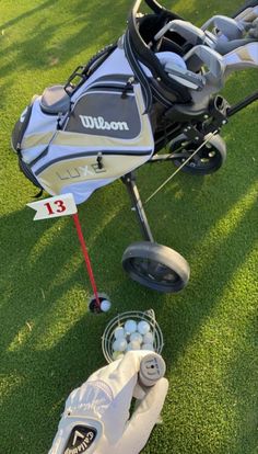 a golf bag and putter on the grass next to some balls in a basket