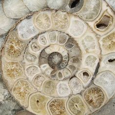 an aerial view of the inside of a rock formation with many different layers and shapes