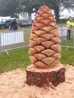 a large pine cone sitting on top of a tree stump