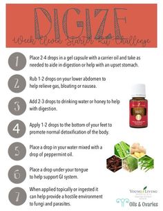 Digize Essential Oil, Young Living Oils Recipes, Essential Oil Starter Kit, Living Oils Recipes, Young Living Recipes, Essential Oil Usage, Essential Oil Remedy, Young Living Essential Oils Recipes