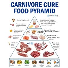 Caveman Diet, Skin Diet, Meat Diet, Carnivore Diet, Food Pyramid, Fatty Fish, Diet Food List