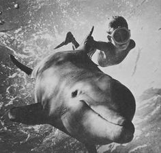 a man riding on the back of a dolphin