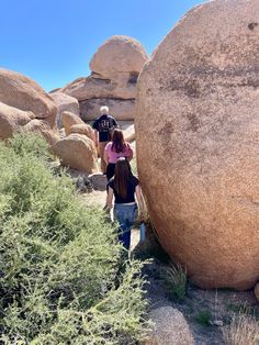 two people climbing up the side of a large rock in an area with plants and rocks