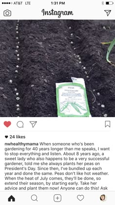 an instagram post about growing plants in the garden