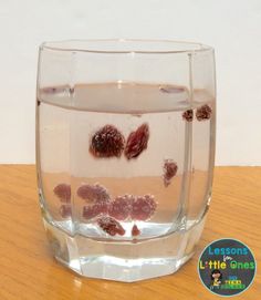 a glass filled with water sitting on top of a wooden table