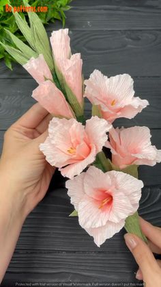 pink flowers are being held by someone's hand