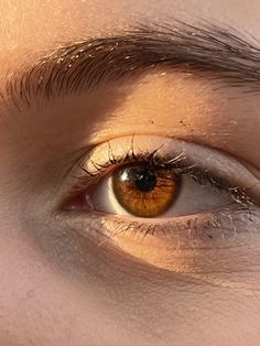 Brown eye😍 Coffee Brown Eyes, Brown Eyes With Gold Flecks, Dark Amber Eyes, Pale Skin Brown Eyes, Honey Brown Eyes, Golden Brown Eyes, Chocolate Brown Eyes, Brown Eye Color, Amber Eyes Color