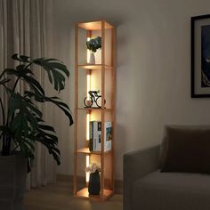 a living room with a couch and a book shelf next to a potted plant