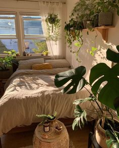 a bed sitting next to a window with lots of green plants on top of it