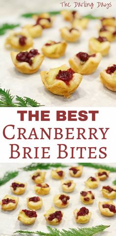 the best cranberry brie bites