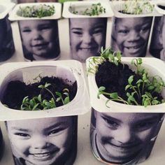 there are many small pots with plants in them on the table and one has a child's face painted on it