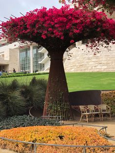 a large tree with red flowers growing on it's trunk in the middle of a garden