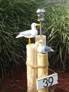 two seagulls sitting on top of wooden posts next to a sign that reads 30