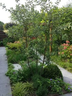 a garden with lots of plants and trees in it's center area, along side a walkway