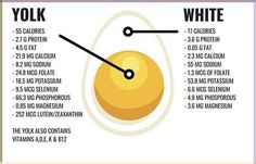 How many eggs do you eat? #eggs #healthtips #weightlossideas Benefits Of Eggs, Detox Symptoms, Dippy Eggs, Egg Benefits, Asthma Symptoms, Low Blood Sugar, Did You Eat, Chronic Inflammation