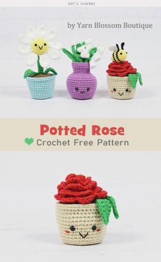 three crocheted pots with flowers in them and the words potted rose written below